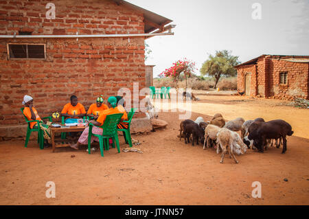 Mforo la Tanzanie, un village près de Moshi, Tanzanie. Sœur solaire entrepreneurs se rencontrent ensemble à Fatma Mzirayâs la maison pour aller sur les entreprises et partager des idées. Ils aiment être ensemble et ils ont tous l'impression que cela les aide à apprendre les uns des autres et d'essayer de nouvelles méthodes de vente et commercialisation. Ils sont tous devenus des amis proches à cause de la groupe. Ils conviennent que si les femmes travaillent ensemble il est plus facile d'obtenir des opportunités et développer leur entreprise. De gauche à droite : Grace Kimaro, Grace Mbwambo, Fatma Mziray, Sadia Abdallah, et dans le vert foulard, Mwunaidi Msuya. Banque D'Images