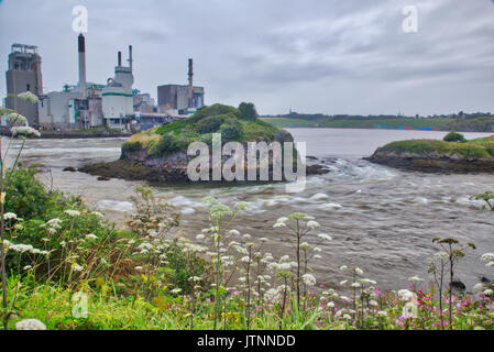 ST. Johns Reversing Falls, dans la baie de Fundy, Nouveau-Brunswick, NB, Canada Banque D'Images