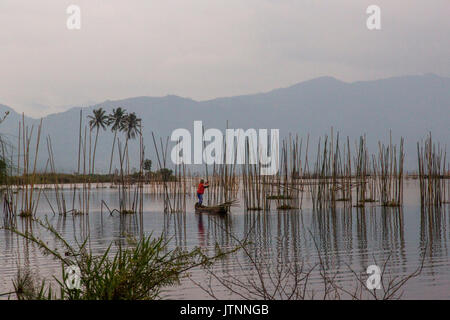 Un pêcheur se dresse sur un bateau étroit entre les poteaux skinny dans un Smoky Lake avec des montagnes en arrière-plan. La vallée de Kerinci, Sumatra, Indonésie Banque D'Images