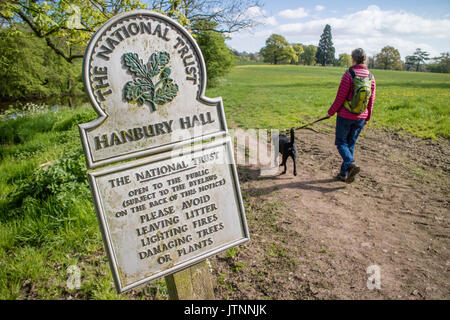 Femme de promener le chien dans le parc, Hanbury Hanbury, Worcestershire, Angleterre, RU Banque D'Images