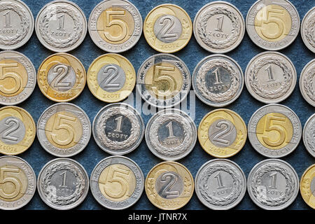 Close up photo de Zloty Polonais monnaie, vue d'en haut. Banque D'Images