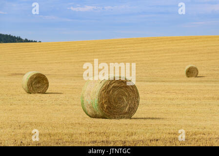 Bottes de foin dans domaine rural sous ciel bleu. usa campagne. Banque D'Images