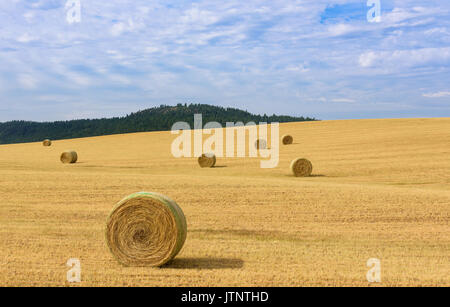 Usa campagne. bottes de foin dans domaine rural sous ciel bleu. Banque D'Images