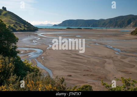 Marée basse à Cable Bay, sur la côte de la baie de Tasman, au nord-est de Nelson, Nouvelle-Zélande Banque D'Images