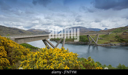 Vue panoramique de Kylescu unique traversée de pont un loch, dans un paysage dominé par les montagnes, l'eau, bleu et fleurs de l'ajonc d'or en Ecosse Banque D'Images