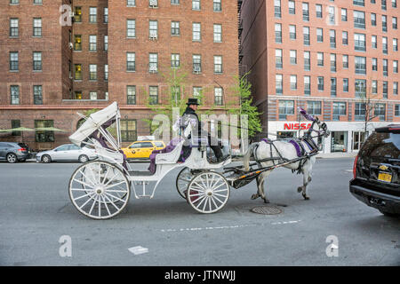 Central Park blanc Hansom Cab jaunty top-pilote chapeau empanaché cheval blanc retour à l'avenue de la grange le long de onzième 52nd Street New York City USA Banque D'Images