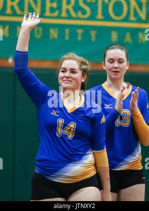 Volley-ball action avec Portola vs, Fall River High School à Red Bluff, en Californie. Banque D'Images