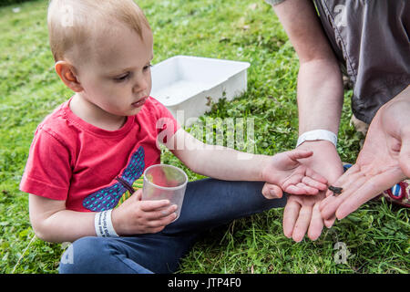 Rspb fairburn ings, North Yorkshire UK. 29 juillet. Le samedi après-midi, bbc cbeebies twirlywoos préférés venaient prendre part à une gamme d'activités d'exploration et de rencontrer les familles du camping à la réserve naturelle de rspb's big wild sleepout. activités capturé : trempage de l'étang, la chasse aux bogues, l'observation des oiseaux. La bws vise à mettre les familles au plus près de la nature en leur permettant d'camp de la réserve pour les 29 - 30 juillet. bws est à sa cinquième année et voit des milliers d'enfants et leurs familles et leurs tentes tangage déployé leurs sacs de couchage, pour se rapprocher de natur Banque D'Images