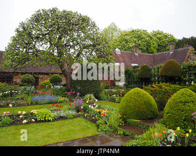 Vue paysage de Chenies Manor jardin en contrebas avec pommier en fleurs. Joli feuillage de printemps tulipes et encadré par un salon de thé et topiary. Banque D'Images