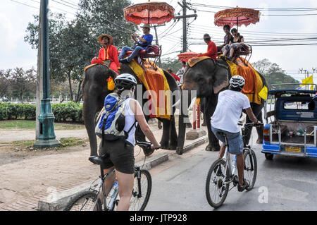 Des cyclotouristes passant les éléphants aux touristes ayant une virée à Ayutthaya, Thaïlande. Banque D'Images