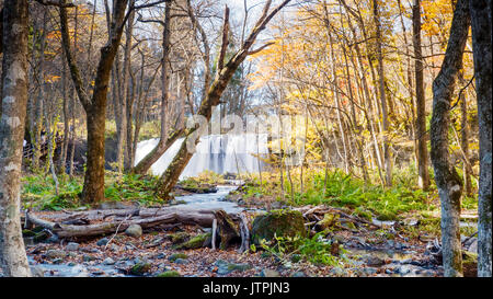 Le mystérieux Oirase Stream qui coule à travers la forêt d'automne dans le Parc National Towada Kamaishi à Aomori Japon Banque D'Images