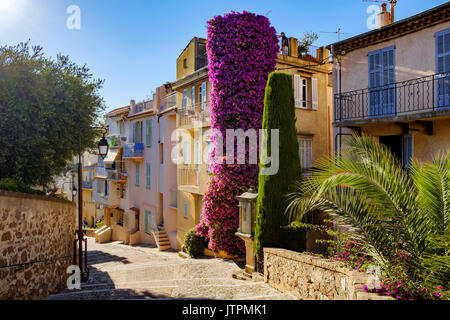 Une scène de rue colorée dans la vieille ville, le Suquet, à Cannes sur la Côte d'azur dans le sud de la France. Les maisons sont peintes dans des tons provinciaux Banque D'Images