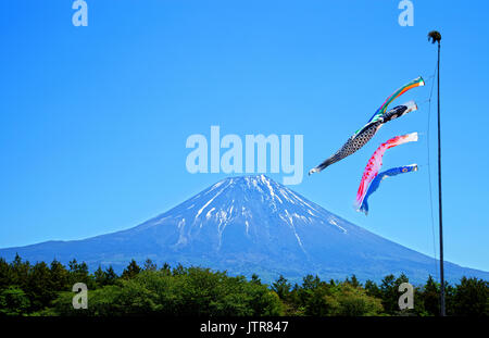 Cerfs-volants de carpe Koinobori colorés contre un ciel bleu clair dans les hautes terres d'Asagiri avec Mt. Fuji en arrière-plan au Japon Banque D'Images
