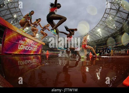 Londres, Royaume-Uni. 09Th Aug 2017. Londres, Grande-Bretagne. 9 Août, 2017. Au cours de la concurrence les coureurs du 3000m steeple femmes chauffe le jour 6 de l'IAAF 2017 Championnats du monde à la London Stadium à Londres, Angleterre, le 9 août, 2017. Source : Xinhua/Alamy Live News Banque D'Images