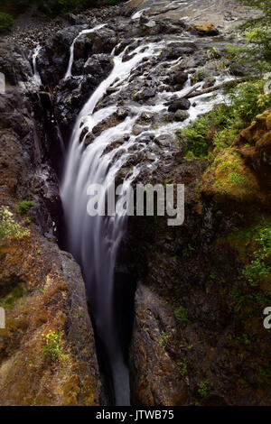 Cascade dans le parc provincial Englishman River Falls. Errington, île de Vancouver, BC, Canada Banque D'Images