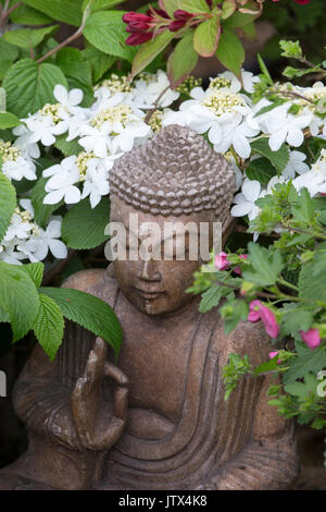 Ornement de jardin bouddha et Viburnum Plicatum 'usine' aresii Banque D'Images