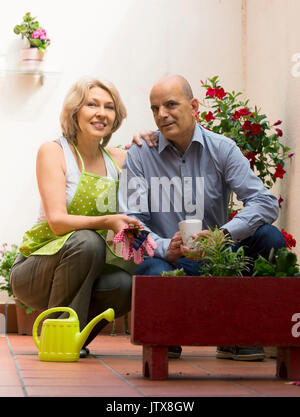 Couple âgé heureux de boire du café à Terrace et de parler Banque D'Images