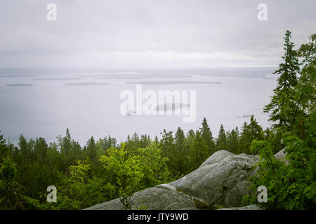 Un beau panorama du lac et de la forêt de pics Koli Banque D'Images