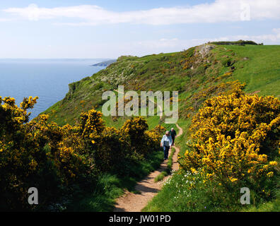 Les promeneurs sur la côte à Lantic Baie entre Polperro et Fowey à Cornwall. Banque D'Images