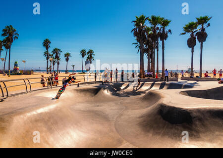 Skatepark au célèbre Venice Beach. Le Skate Board Park avec ses rampes en béton et de palmiers est très célèbre et populaire en Californie. Banque D'Images