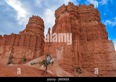 Le Parc National de Bryce Canyon - Navajo/Peek A Boo/Queens Garden Loop Banque D'Images