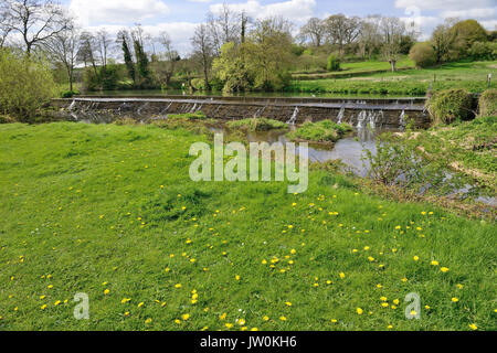 Tellisford weir, Wiltshire qui occupe le côté de la rivière Frome. Banque D'Images