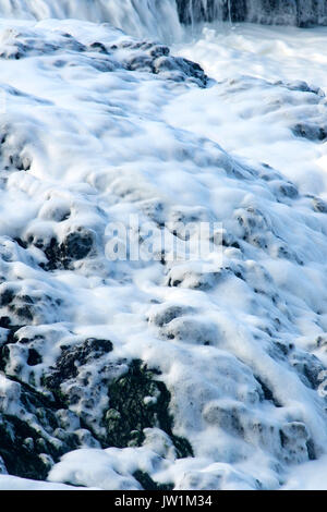 Sea Foam de Captain Cook Trail, Cape Perpetua Scenic Area, forêt nationale de Siuslaw, Oregon Banque D'Images