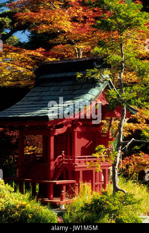 Jardin japonais, Point Defiance Park, Tacoma, Washington Banque D'Images