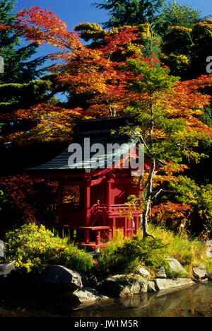 Jardin japonais, Point Defiance Park, Tacoma, Washington Banque D'Images