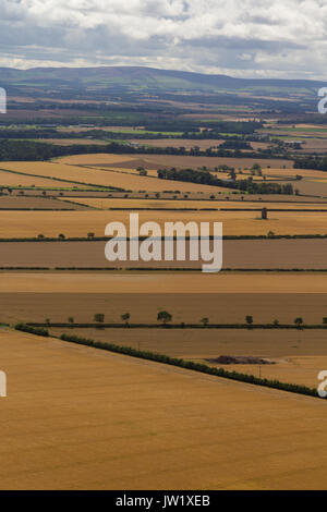 Champs arables East Lothian en Écosse Banque D'Images