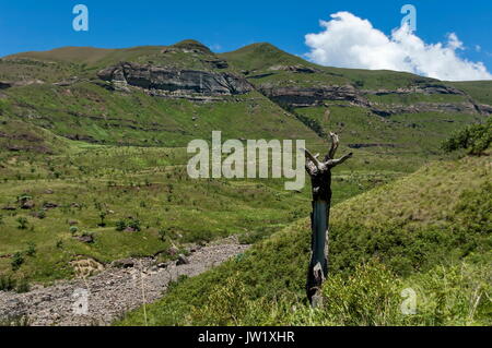 Cours d'une rivière à sec de Thukela cascade dans la montagne du Drakensberg, Afrique du Sud Banque D'Images