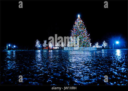 Arbre de Noël Banque D'Images