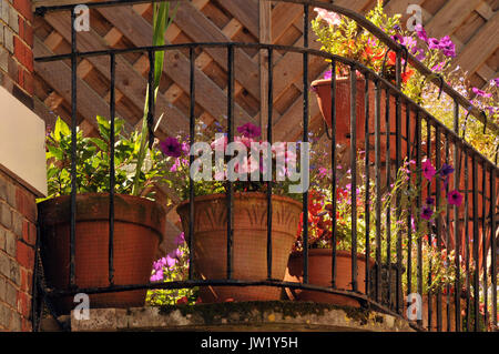 Un balcon ou espace extérieur d'un appartement ou d'un appartement avec fer forgé et un jardin de plantes de terrasse en pot dans un affichage en couleur. Petite échelle de jardinage Banque D'Images