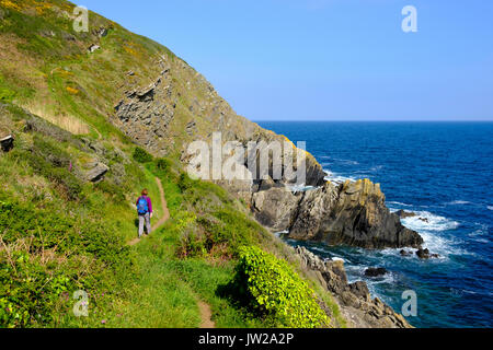 Woman hiking on Coast Path, coastal path near Polperro, Cornwall, England, United Kingdom Banque D'Images