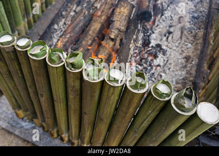 Lemang de cuisson, d'un type de riz en bambou. Lemang est faite de riz gluant qui est cuit avec du lait de noix de coco évidée en bambous. Il est généralement trouvé dans Banque D'Images