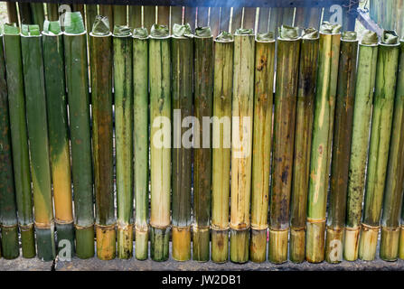 Lemang de cuisson, d'un type de riz en bambou. Lemang est faite de riz gluant qui est cuit avec du lait de noix de coco évidée en bambous. Il est généralement trouvé dans Banque D'Images