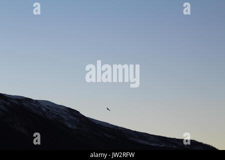 Vol d'oiseaux au-dessus d'une montagne dans ciel bleu clair Banque D'Images