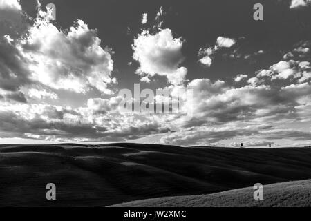 Un couple de lointain, cyprès isolés sur une colline, sous un grand ciel avec nuages blancs, dans un paysage typique de la Toscane pays Banque D'Images