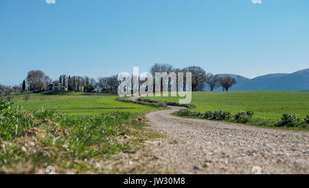 Campagne autour de la ville de Montefalco en Ombrie (Italie). Banque D'Images