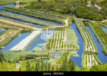 Une vue sur le verger et les champs de l'agriculture irriguée dans le delta de la rivière Neretva à Opuzen, Croatie. Banque D'Images