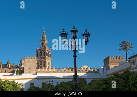 Espagne, Andalousie, Séville, GIRALADA TOWER et vieux mur de ville, Séville, ESPAGNE Banque D'Images