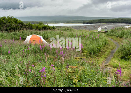 Les visiteurs s'assoient à regarder l'activité de l'ours de l'intérieur du camping à la McNeil River State Game Sanctuary sur la péninsule de Kenai, en Alaska. Le site distant est accessibles qu'avec un permis spécial et est la plus importante population saisonnière d'ours bruns dans leur environnement naturel. Banque D'Images