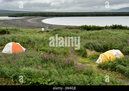 Les visiteurs s'assoient à regarder l'activité de l'ours de l'intérieur du camping à la McNeil River State Game Sanctuary sur la péninsule de Kenai, en Alaska. Le site distant est accessibles qu'avec un permis spécial et est la plus importante population saisonnière d'ours bruns dans leur environnement naturel. Banque D'Images