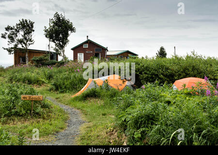 Tentes installées parmi les fleurs sauvages à l'intérieur du camping avec les rangers cabines à l'état de la rivière McNeil Sanctuaire Jeu sur la péninsule de Kenai, en Alaska. Le site distant est accessibles qu'avec un permis spécial et est la plus importante population saisonnière d'ours bruns dans leur environnement naturel. Banque D'Images