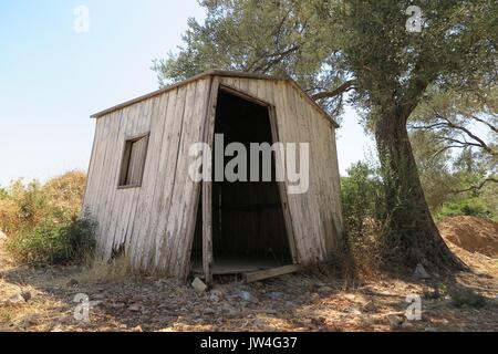 Vieille cabane en bois dans la région de forrest Banque D'Images