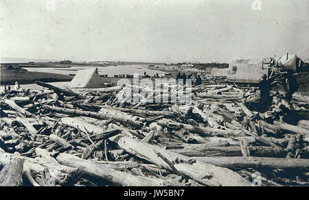 Tentes le long de la plage de bois de grève en premier plan, Nome, Alaska, ca 1900 (HESTER 106) Banque D'Images