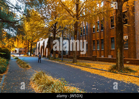 TOKYO, JAPON - 28 NOVEMBRE 2015 : l'Université de Tokyo (Todai ou pour de courtes) est la plus prestigieuse université. L'Université de Tokyo se classe généralement comme le Japon Banque D'Images