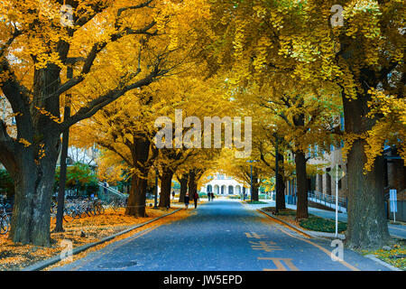 TOKYO, JAPON - 28 NOVEMBRE 2015 : l'Université de Tokyo (Todai ou pour de courtes) est la plus prestigieuse université. L'Université de Tokyo se classe généralement comme le Japon Banque D'Images