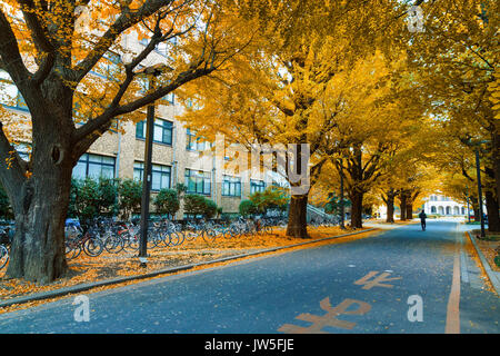 TOKYO, JAPON - 28 NOVEMBRE 2015 : l'Université de Tokyo (Todai ou pour de courtes) est la plus prestigieuse université. L'Université de Tokyo se classe généralement comme le Japon Banque D'Images