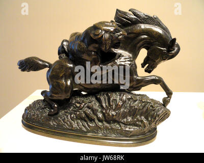 Sculpture en bronze d'Antoine Louis Barye représentant une scène dramatique d'un cheval attaqué par un tigre. Le modèle, créé avant 1837, a peut-être été coulé après 1875. Il est conservé à la National Gallery of Art de Washington. Banque D'Images